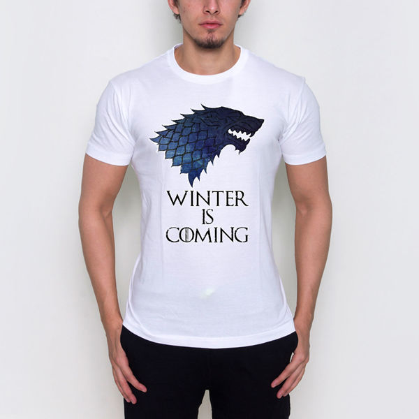 Picture of Winter is coming T-Shirt