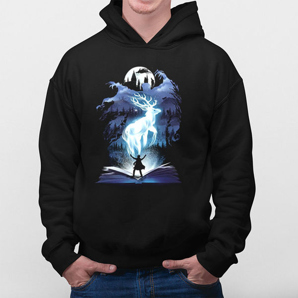 Picture of the magical harry potter - male hoody