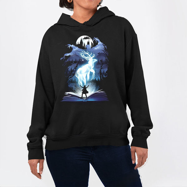 Picture of the magical harry potter - female hoody