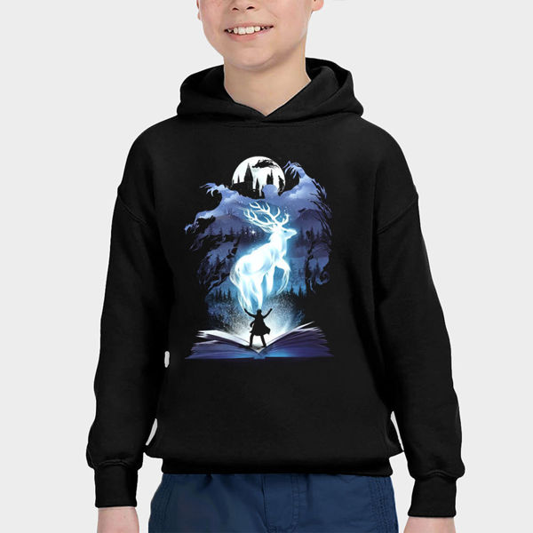 Picture of the magical harry potter - boy hoody